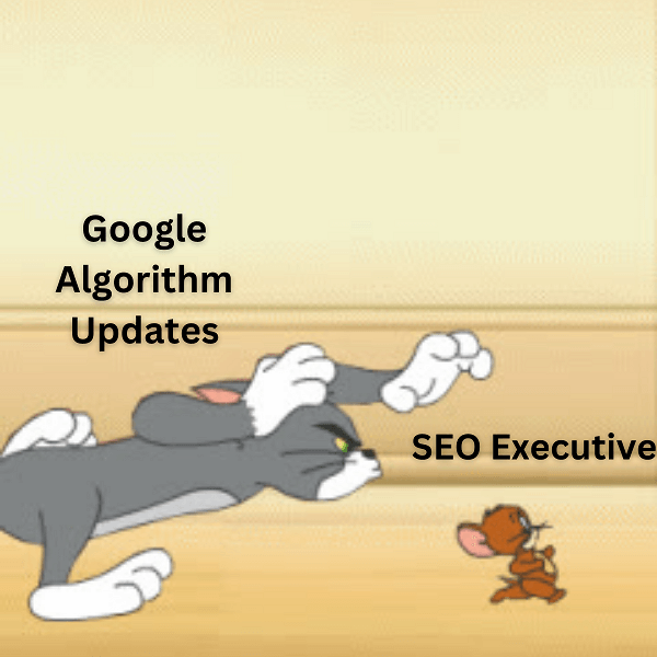 google-algotith-updates